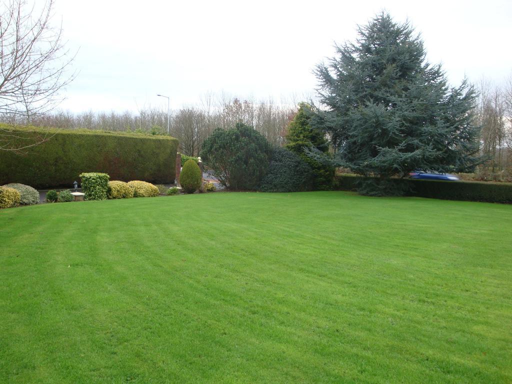 Meadow View B&B Navan Eksteriør billede